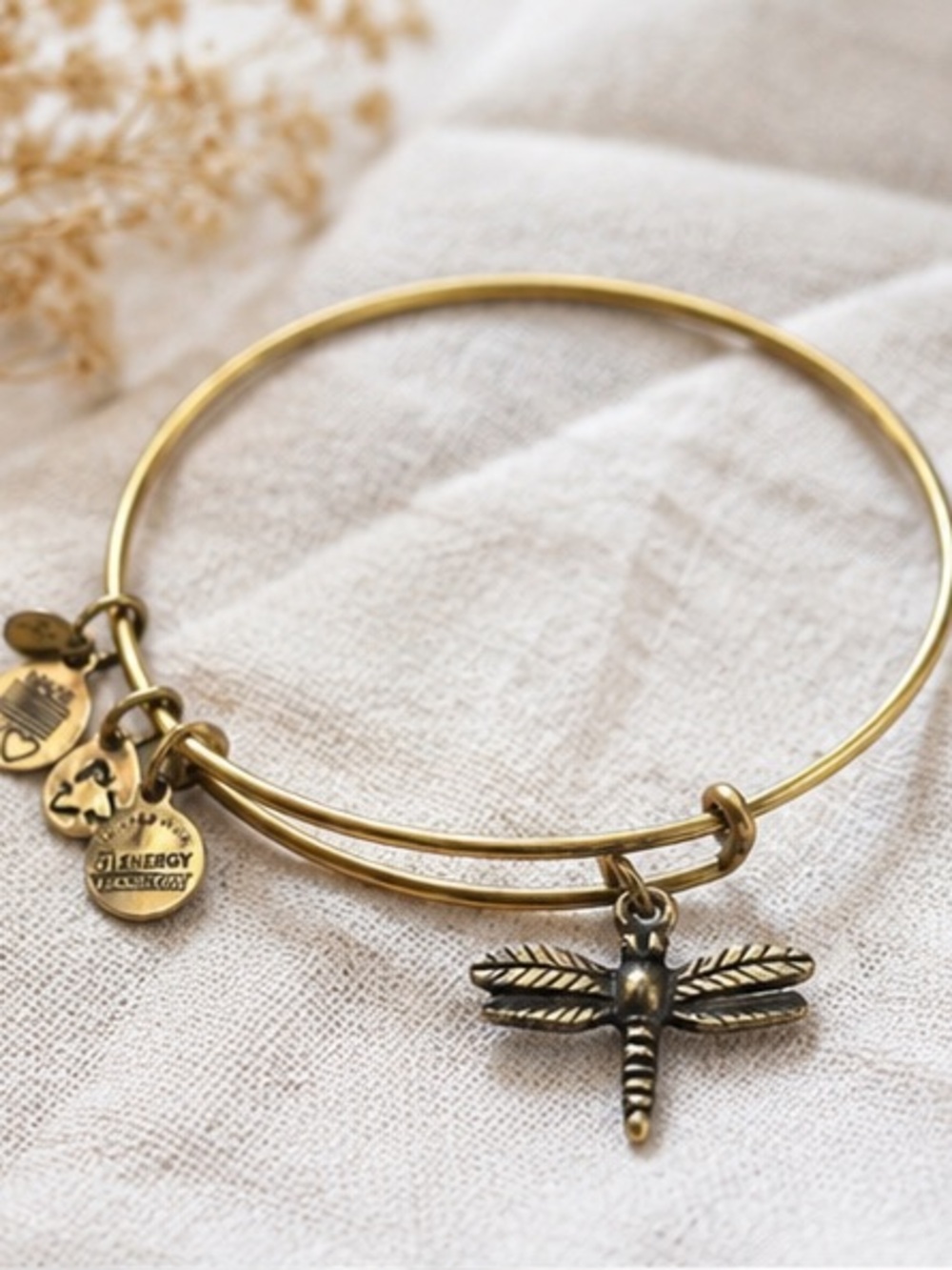 Alex and Ani Dragonfly Charm Bangle Bracelet